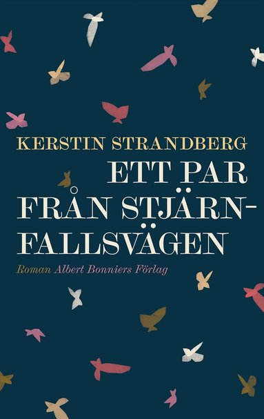Kerstin Strandberg - Ett par från Stjärnfallsvägen, Inbunden
