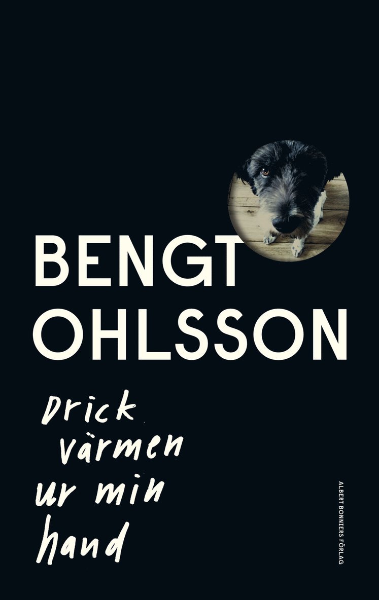 Bengt Ohlsson - Drick värmen ur min hand, Inbunden