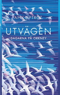 bokomslag Utvägen : dagarna på Orkney