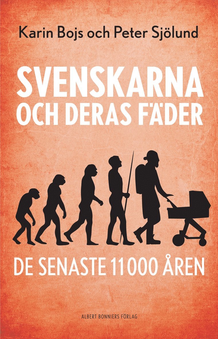 Karin Bojs, Peter Sjölund - Svenskarna och deras fäder de senaste 11 000 åren, Kartonnage