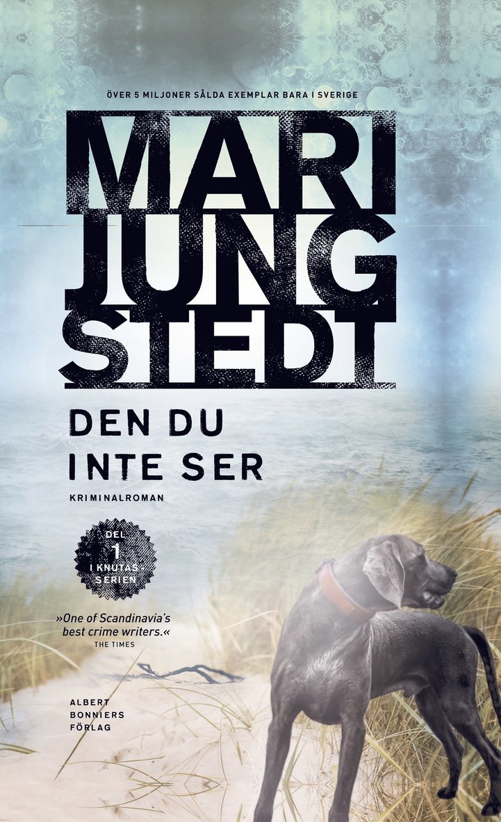 Mari Jungstedt - Den du inte ser, Kartonnage