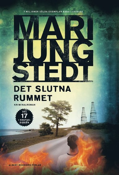 bokomslag Det slutna rummet