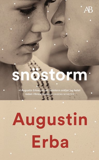 Augustin Erba - Snöstorm, Pocket