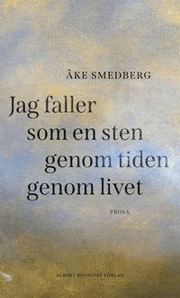 bokomslag Jag faller som en sten genom tiden genom livet