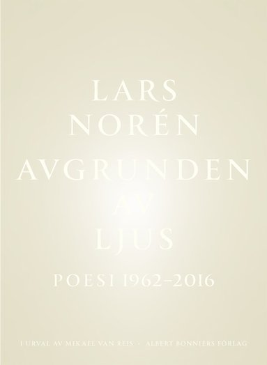 bokomslag Avgrunden av ljus