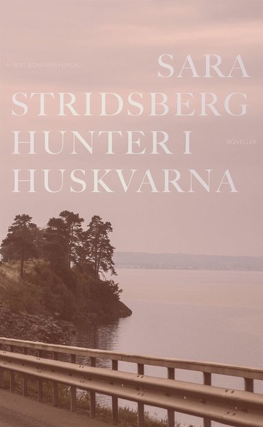Sara Stridsberg - Hunter i Huskvarna, Inbunden