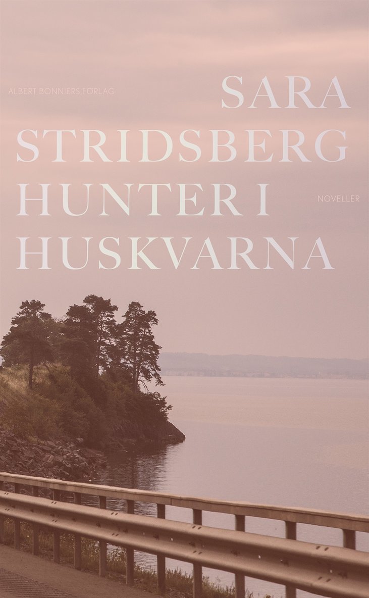 Hunter i Huskvarna 1