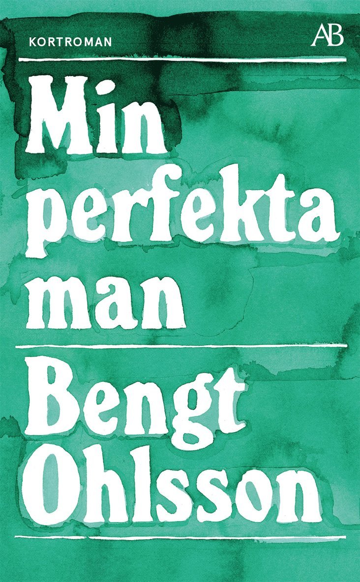 Min perfekta man 1