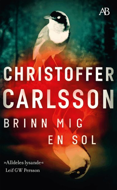 Christoffer Carlsson - Brinn mig en sol, Pocket