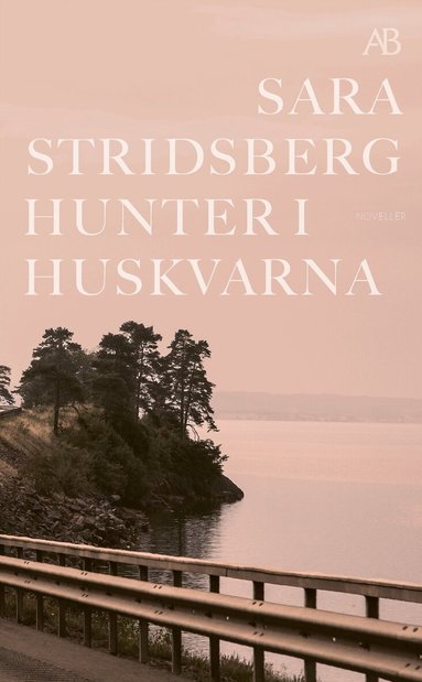 Sara Stridsberg - Hunter i Huskvarna, Pocket