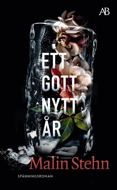 Malin Stehn - Ett gott nytt år, Pocket