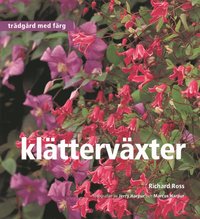 bokomslag Klätterväxter - Trädgård med färg