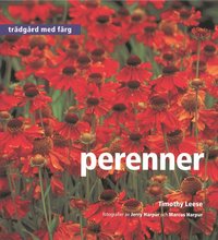 bokomslag Perenner - Trädgård med färg