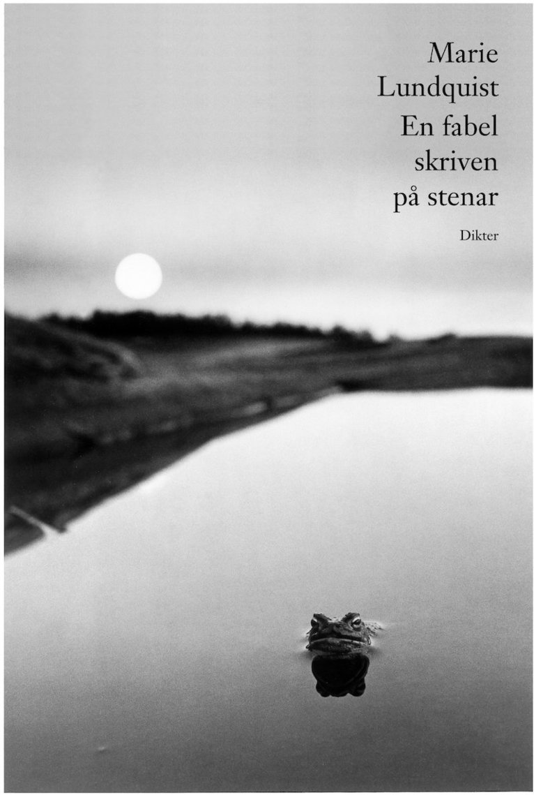 Marie Lundquist - En fabel skriven på stenar, Inbunden