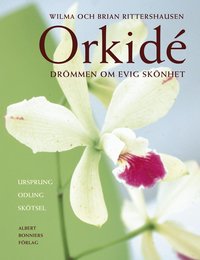 bokomslag Orkidé - Drömmen om evig skönhet