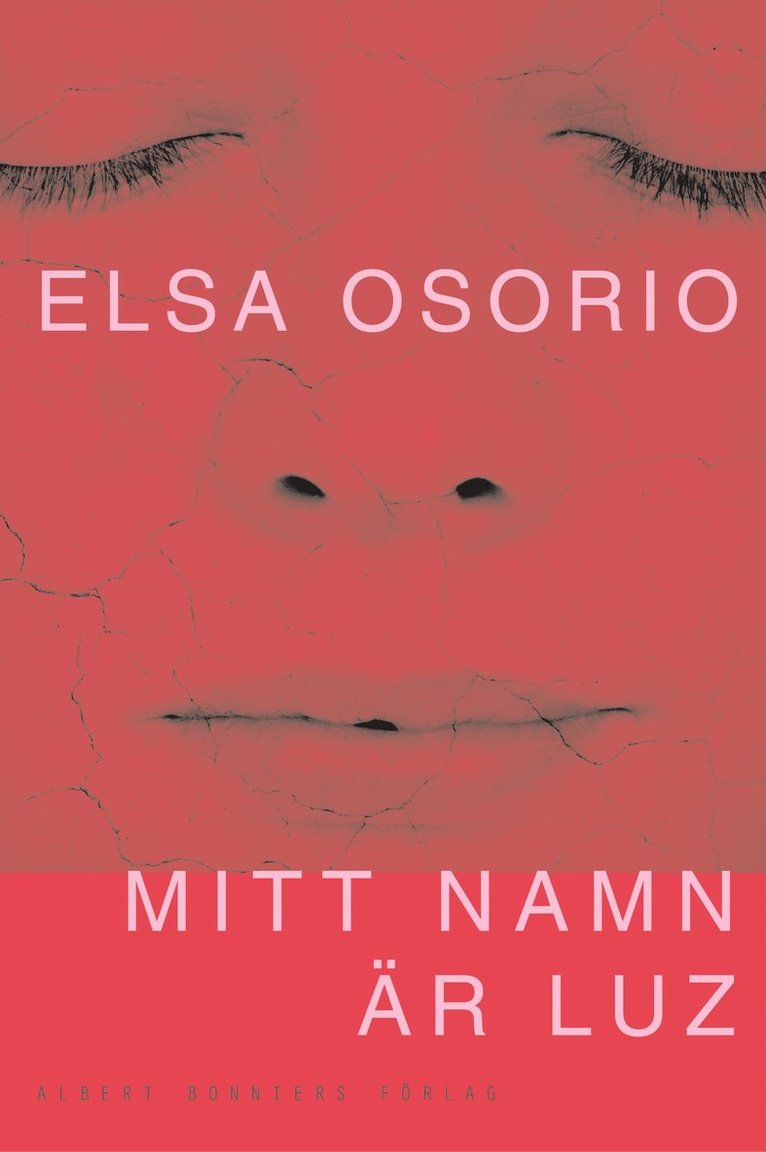 Elsa Osorio - Mitt namn är Luz, Inbunden