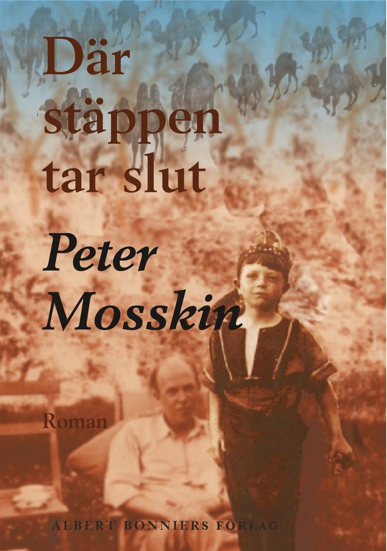 Peter Mosskin - Där stäppen tar slut, Inbunden