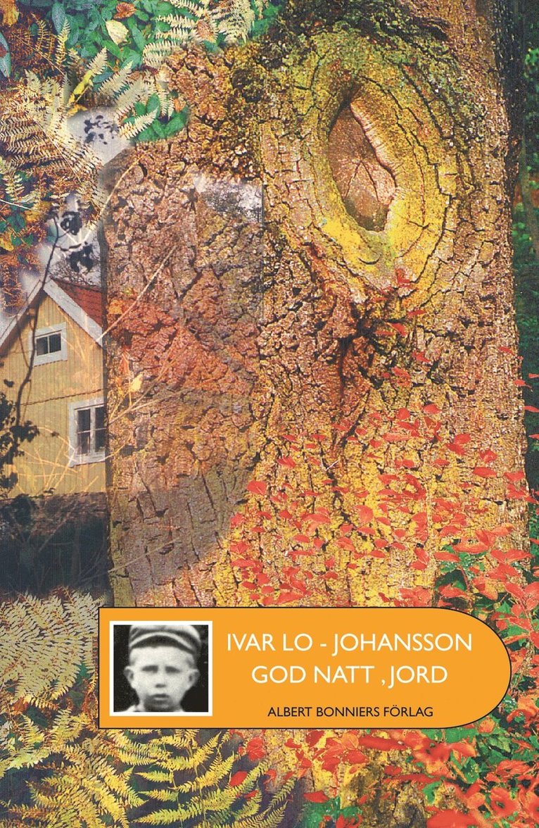 Ivar Lo-Johansson - Godnatt, jord, Kartonnage