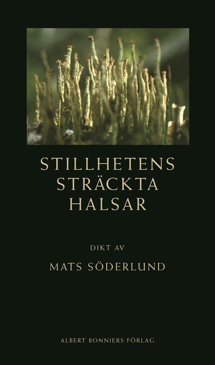 Mats Söderlund - Stillhetens sträckta halsar, Inbunden