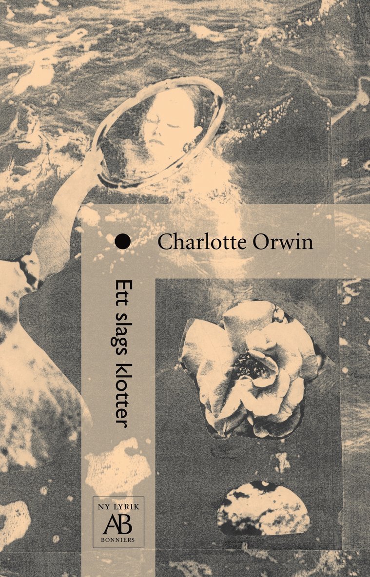 Charlotte Orwin - Ett slags klotter, Inbunden