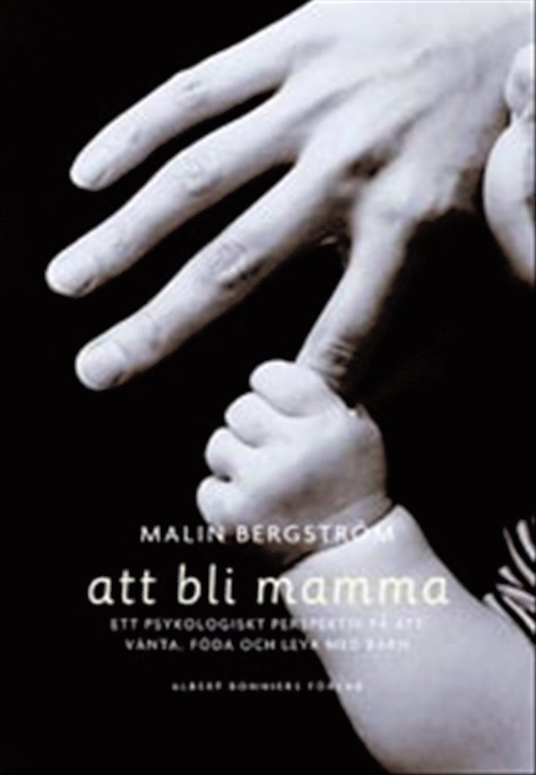 Att bli mamma. Tankar och känslor kring att vänta, föda och leva med barn