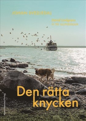 Johan Svedjedal - Den rätta knycken : Astrid Lindgrens Vi på Saltkråkan, Inbunden