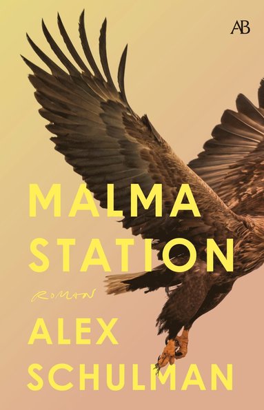 bokomslag Malma station