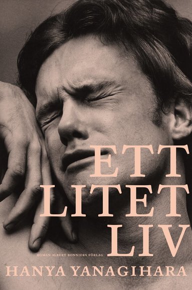 Hanya Yanagihara - Ett litet liv, Storpocket