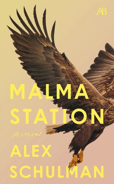 Alex Schulman - Malma station, Pocket