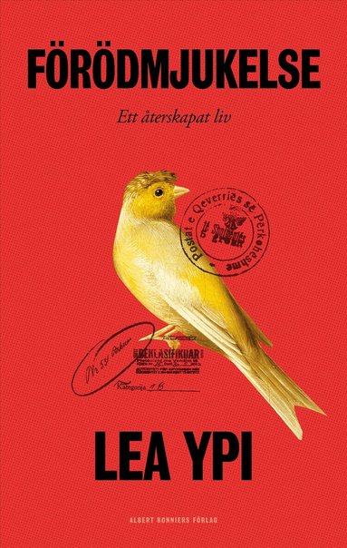 Lea Ypi - Förödmjukelse : ett återskapat liv, Inbunden