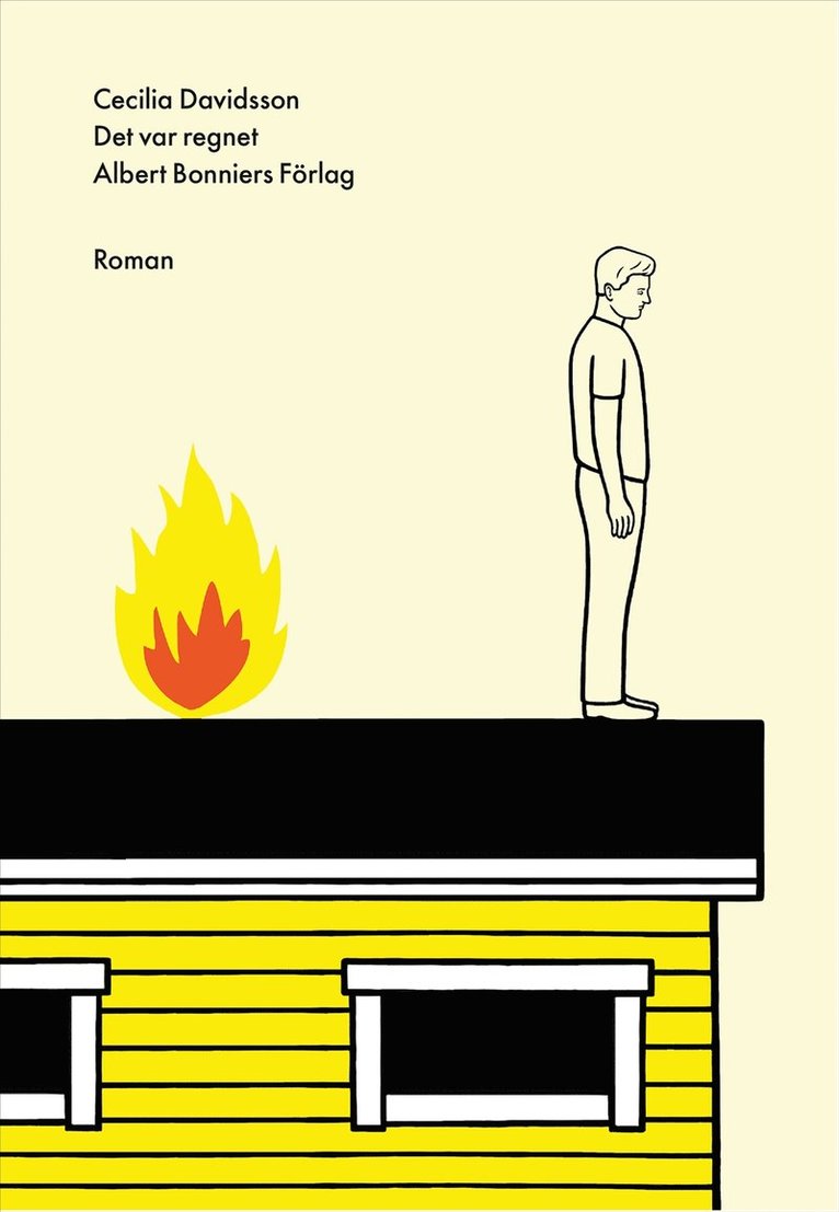 Cecilia Davidsson - Det var regnet, Inbunden