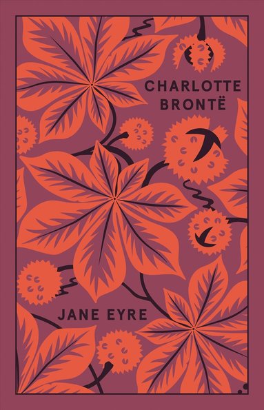 bokomslag Jane Eyre