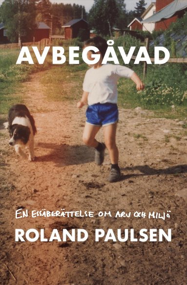 Roland Paulsen - Avbegåvad : en essäberättelse om arv och miljö, Inbunden