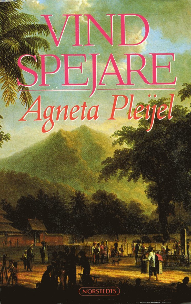 Agneta Pleijel - Vindspejare : boken om Abel målaren, Häftad