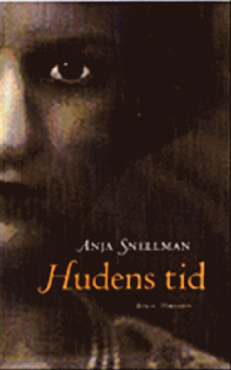 Hudens tid : roman