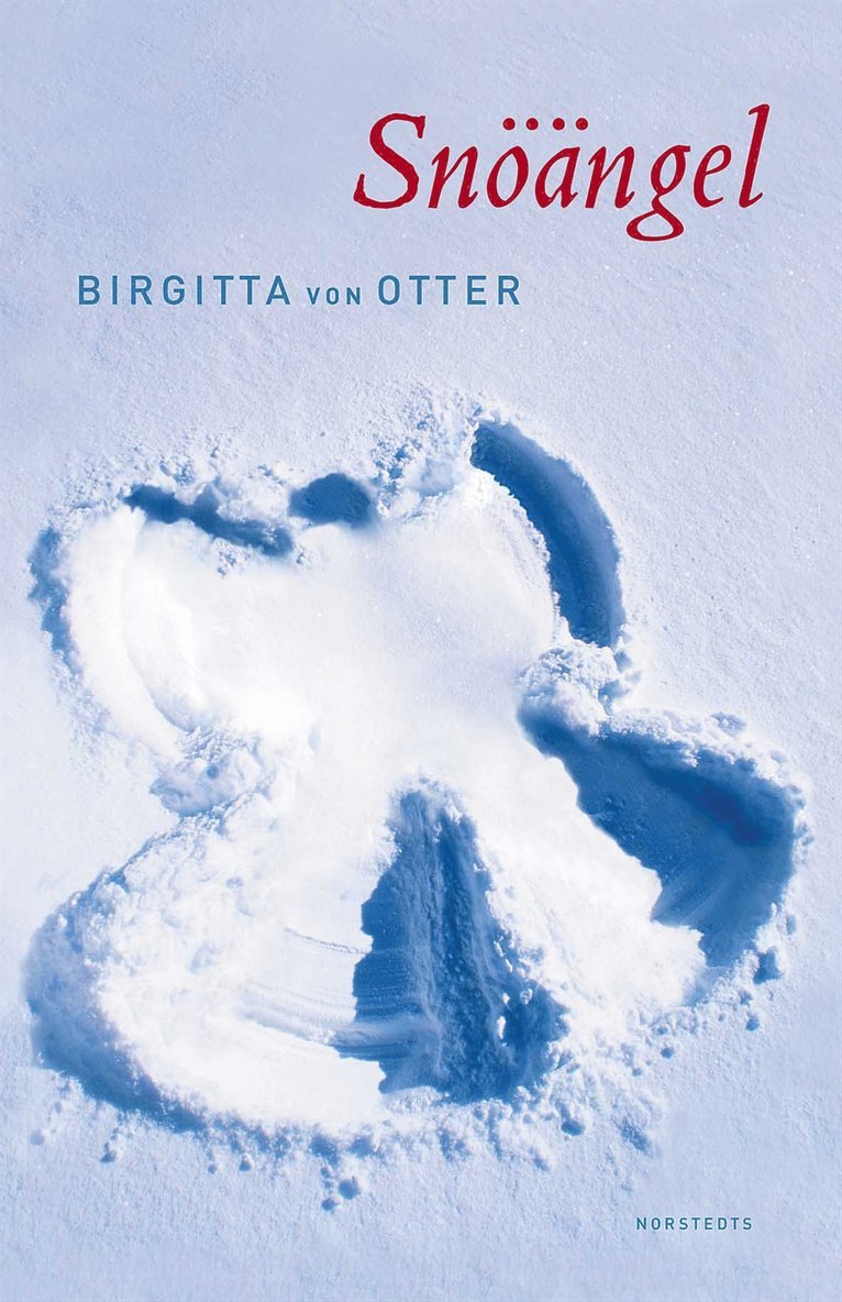 Snöängel : roman
