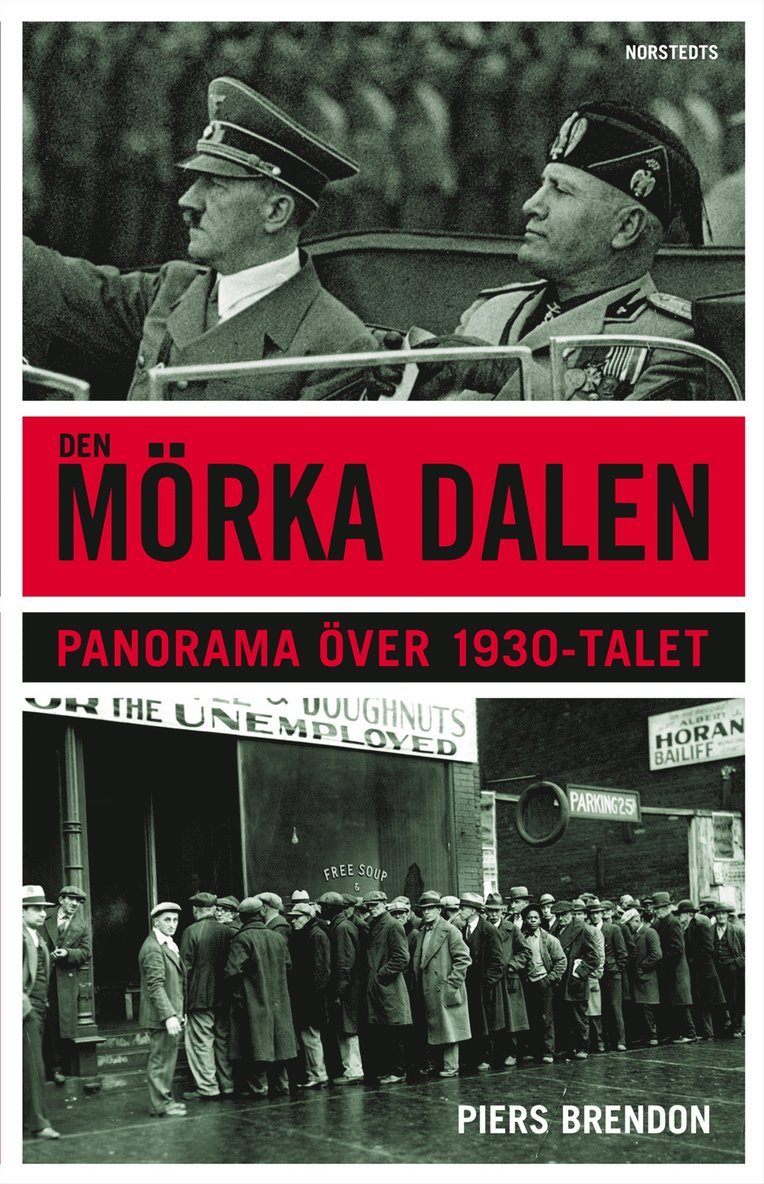 Den mörka dalen : Panorama över 1930-talet
