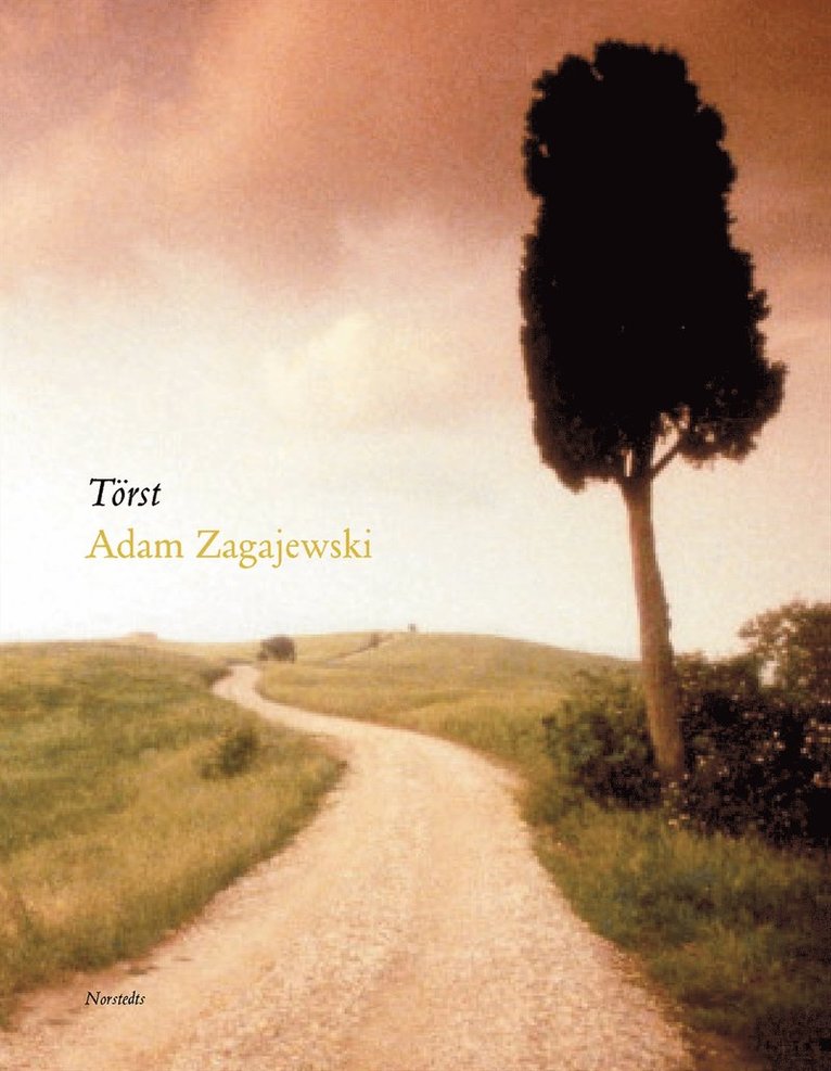 Adam Zagajewski - Törst, Häftad