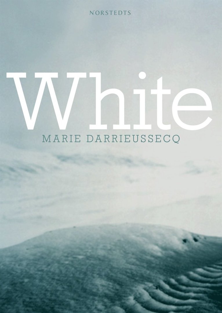 Marie Darrieussecq - White, Inbunden