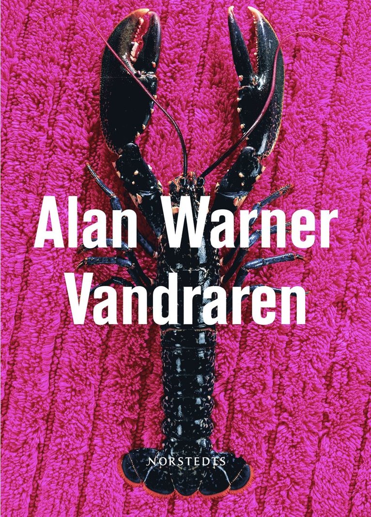Alan Warner - Vandraren, Inbunden