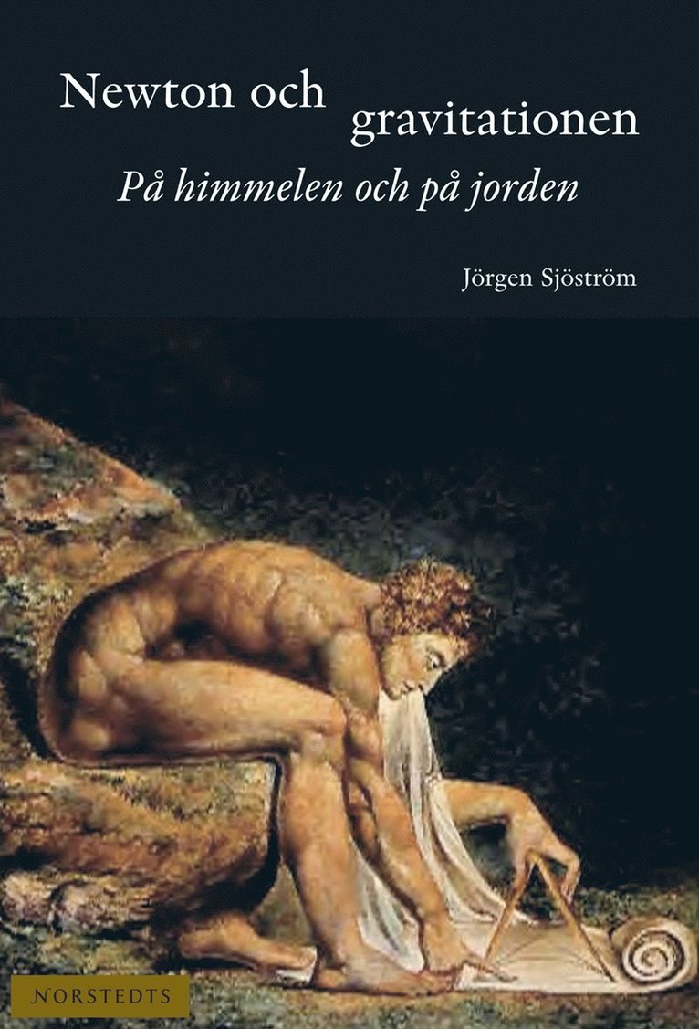 Newton och gravitationen : på himmelen och på jorden