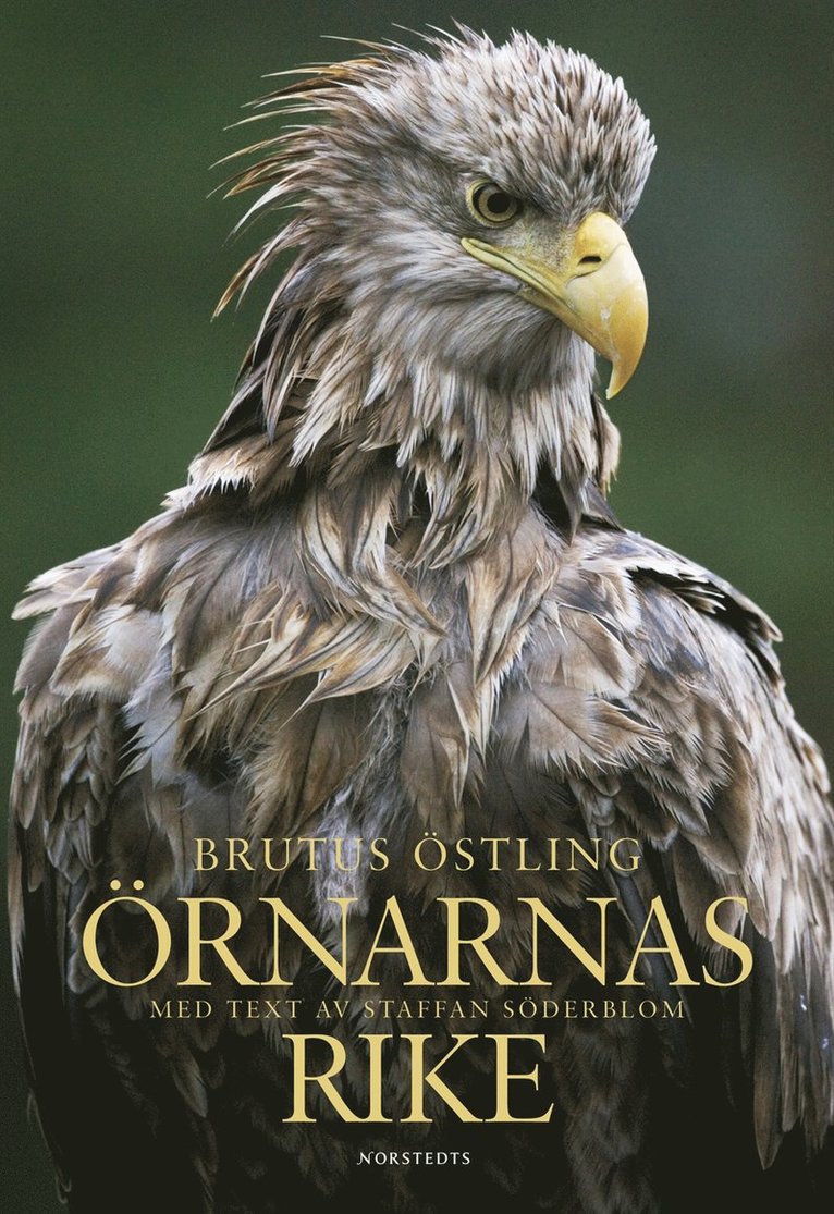 Örnarnas rike