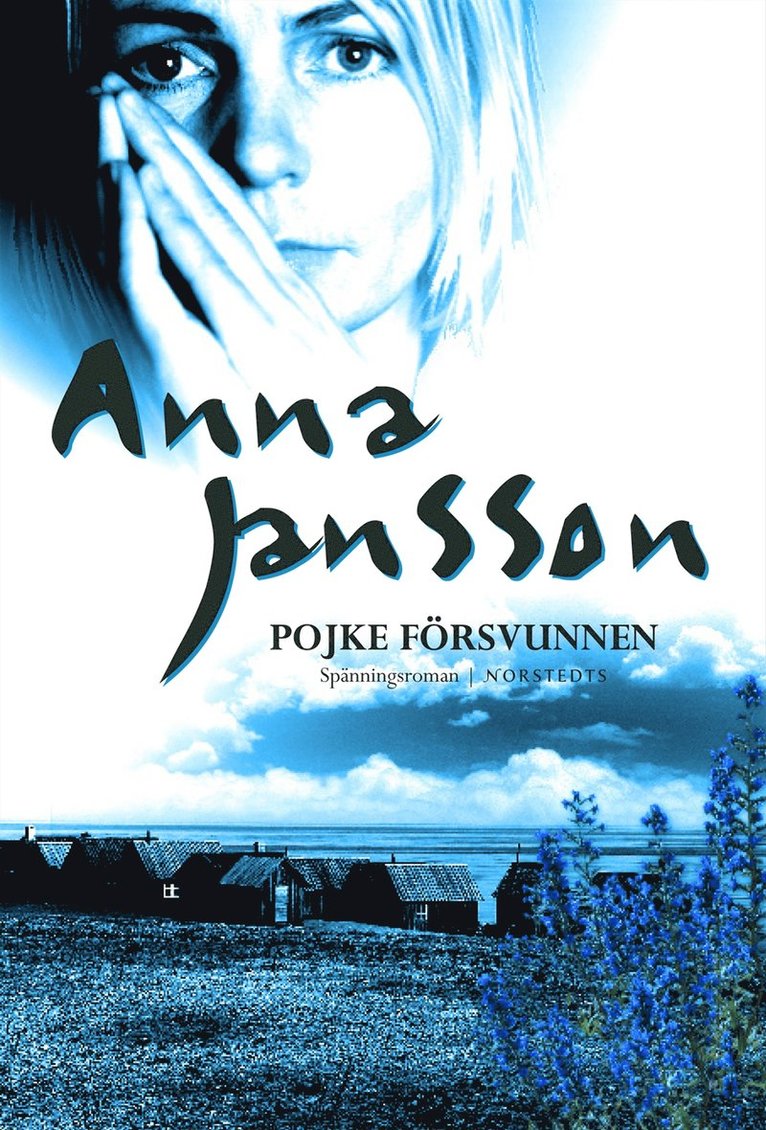 Pojke försvunnen