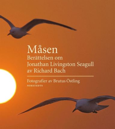 bokomslag Måsen : berättelsen om Jonathan Livingston Seagull