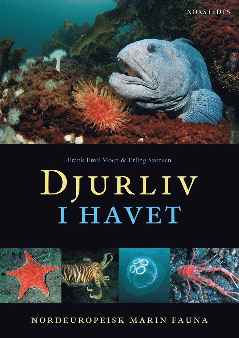 Djurliv i havet  : nordeuropeisk marin fauna