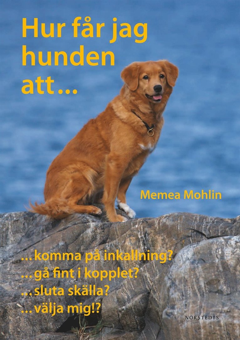 Hur får jag hunden att...?