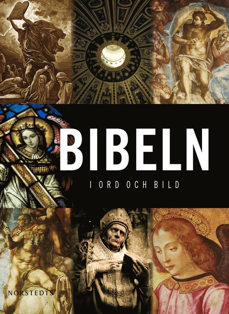 Bibeln : i ord och bild