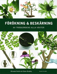 bokomslag Förökning och beskärning