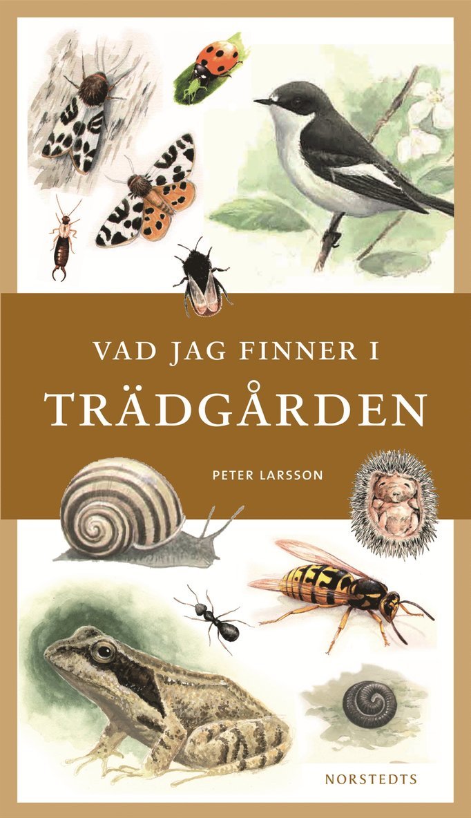 Vad jag finner i trädgården