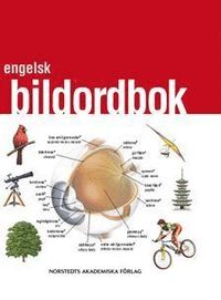 bokomslag Engelsk bildordbok : svenska - engelska